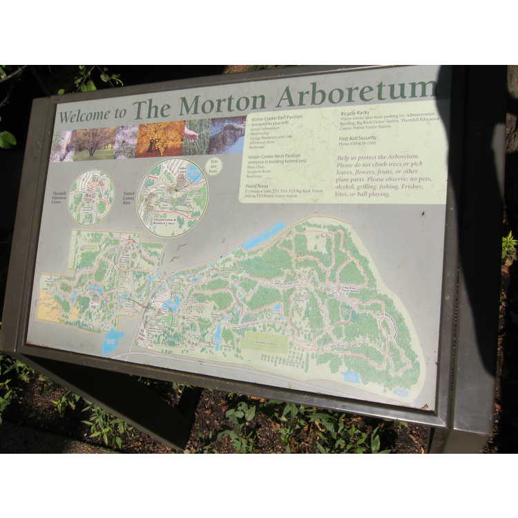 Morton Arboretum, The