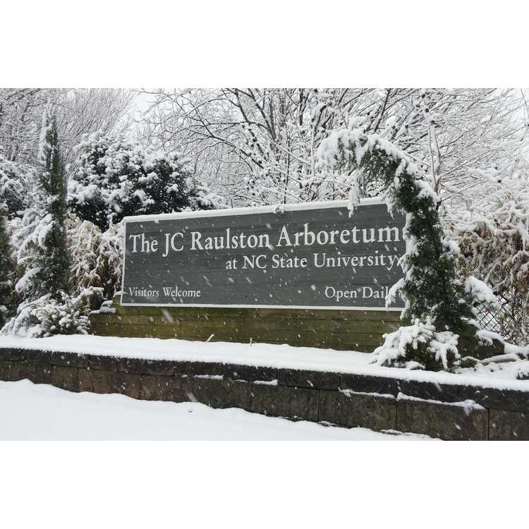 JC-Raulston-Arb-1-snow-on-entry-sign.JPG