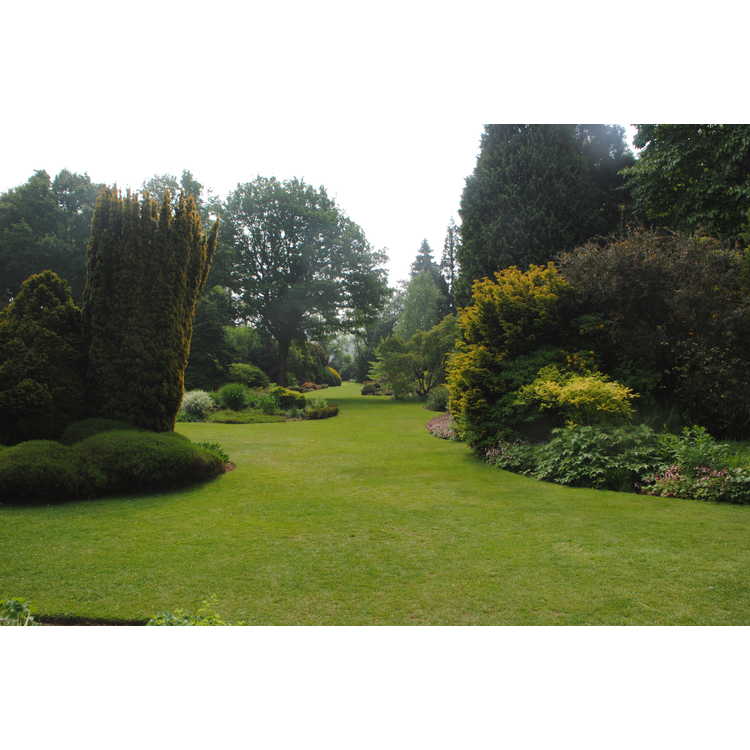 Gardens of Oxford, County Kent, and the Cotswolds