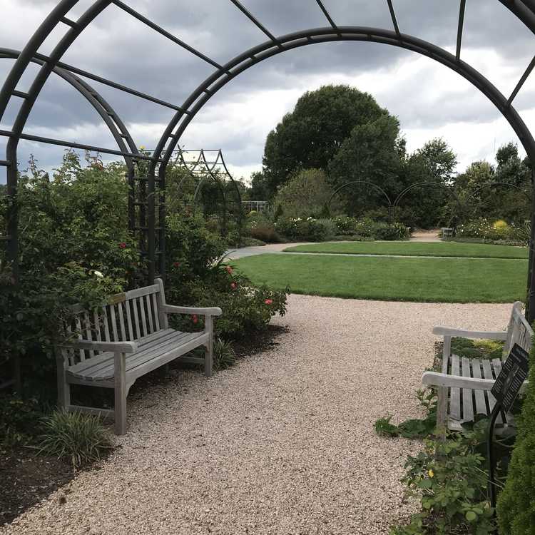 Finley-Nottingham Rose Garden