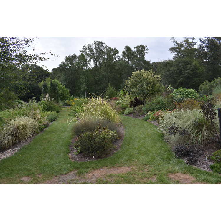 Juniper Level Botanic Garden