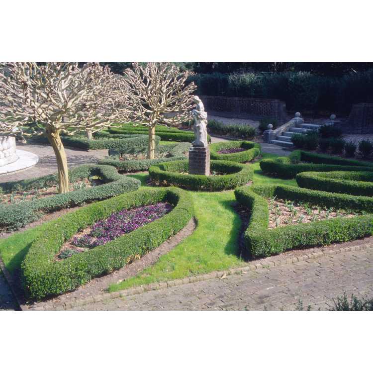 Elizabethan gardens