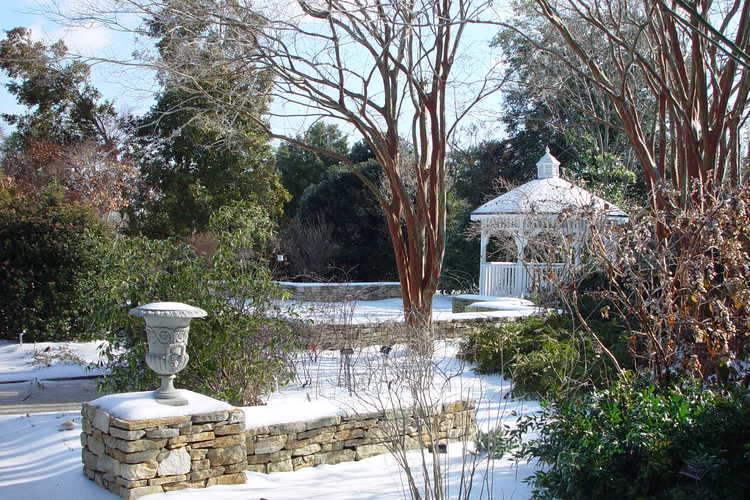 Klein-Pringle White Garden 