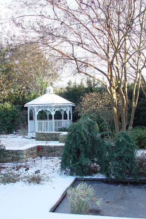 Klein-Pringle White Garden