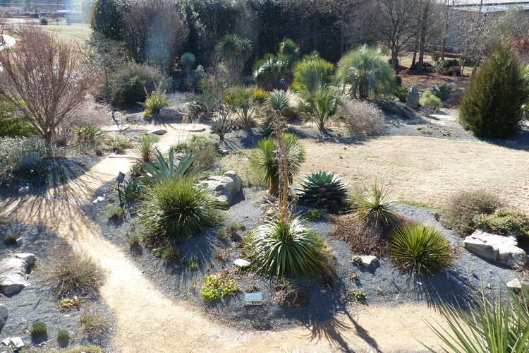 Scree Garden