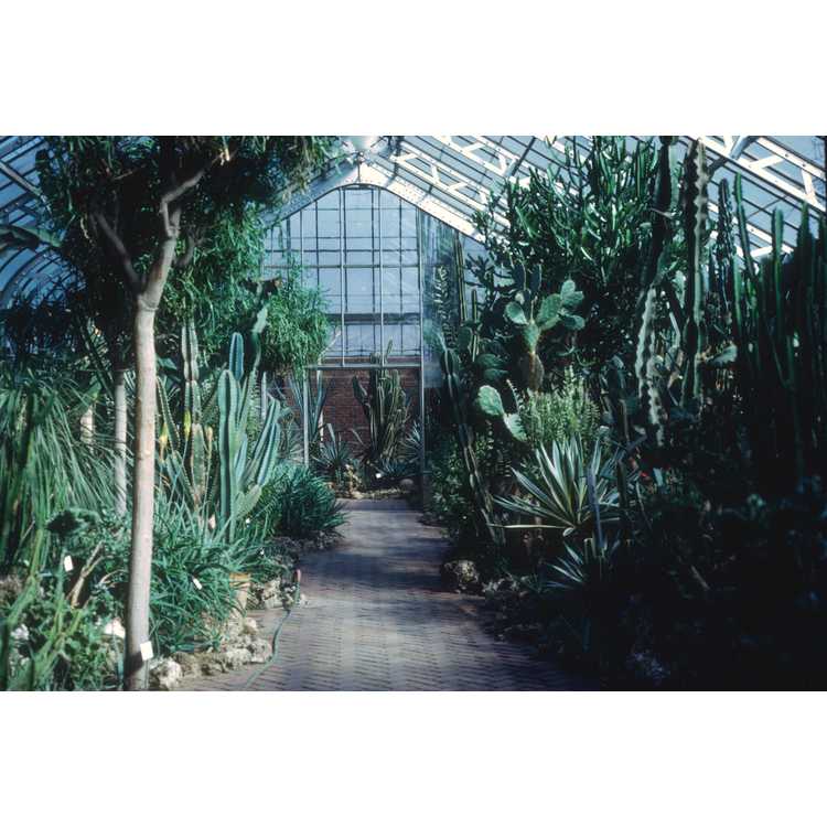US National Botanic Garden