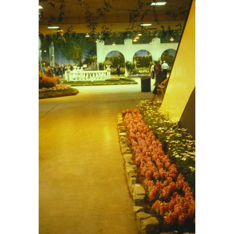 Philadelphia Flower Show 1985