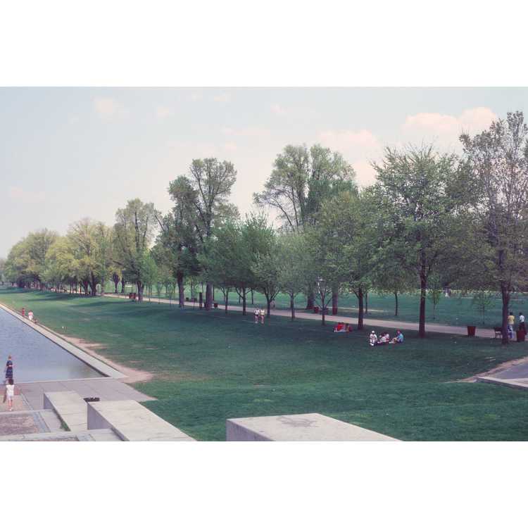 National Mall and Memorial Parks