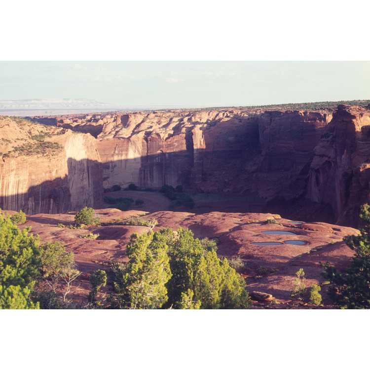 Canyon de Chelly National Monument 