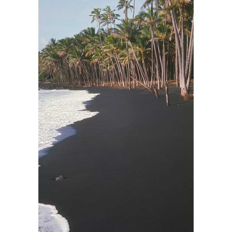 Hawaii, Kalapana Black Sand Beach