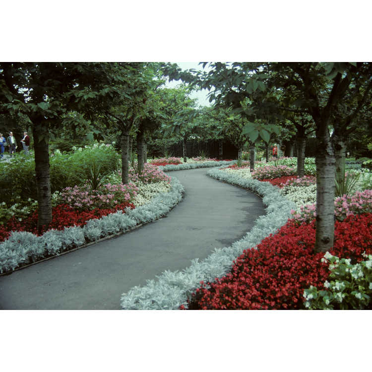 Minter Gardens; Brian Minter