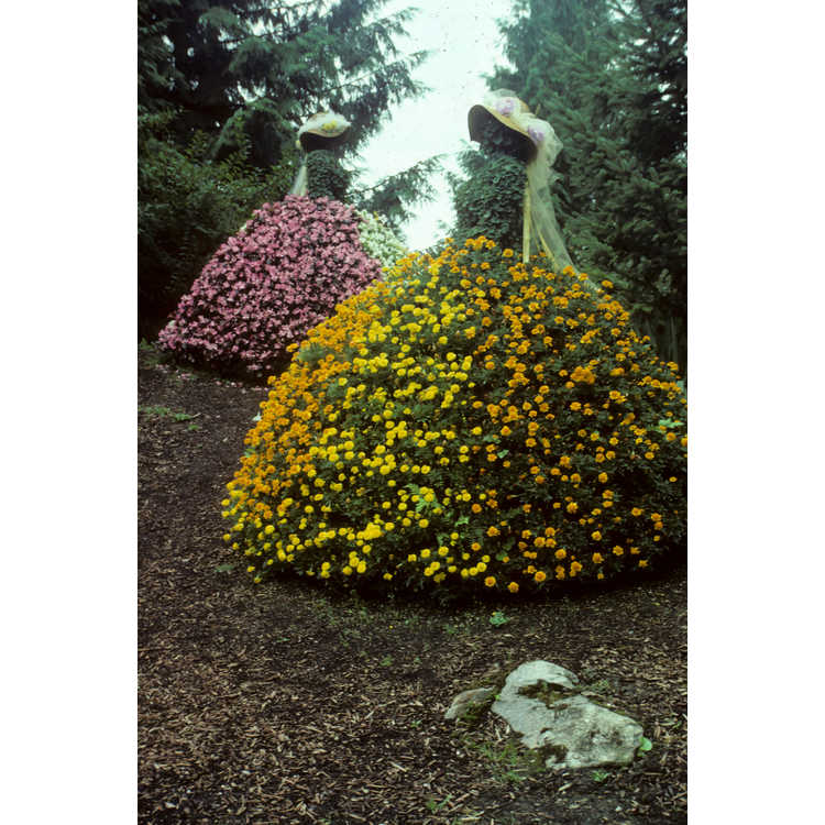 Minter Gardens; Brian Minter