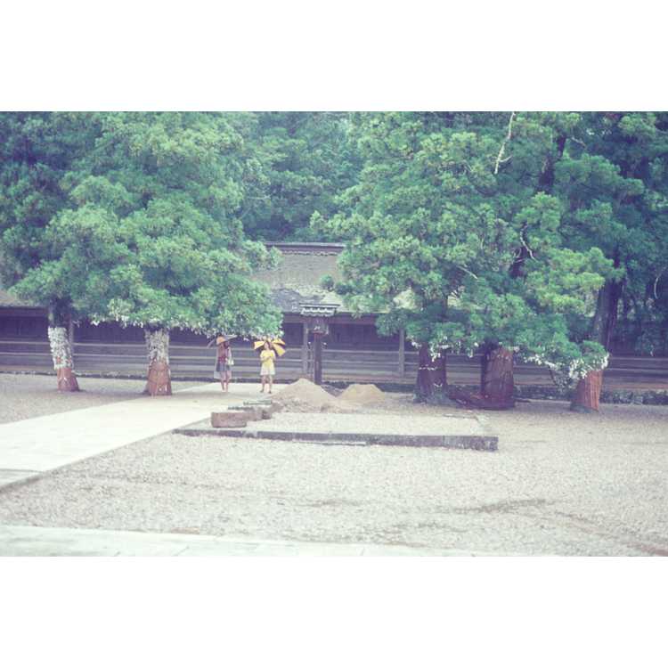 Izumo shrine