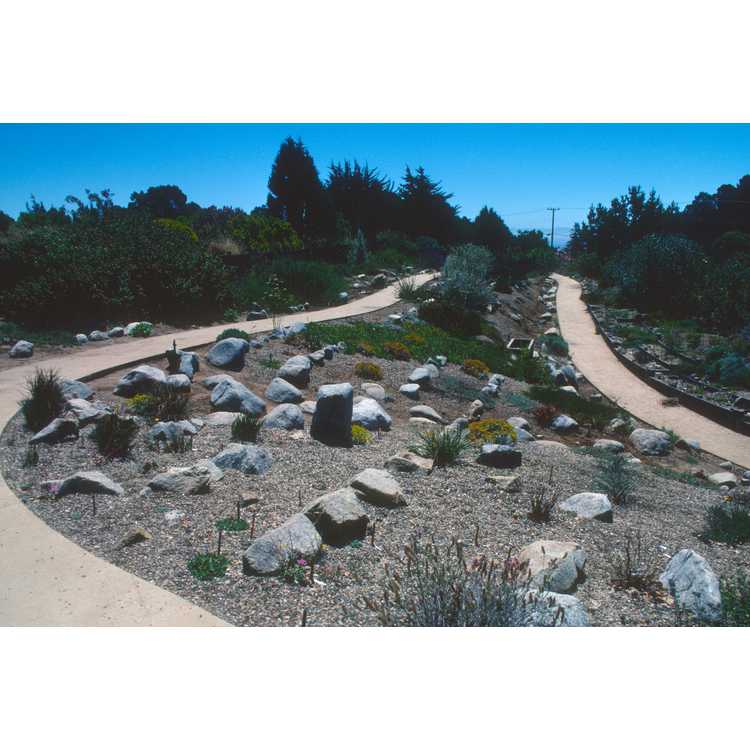 UC Santa Cruz Botanic Garden