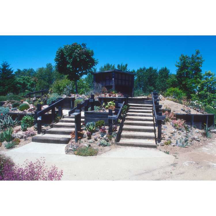 UC Santa Cruz Botanic Garden