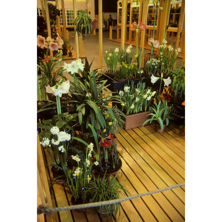 New England Spring Flower Show, Bayside Exposition Center