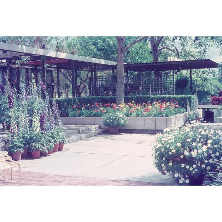 Los Angeles County Arboretum & Botanic Garden, The