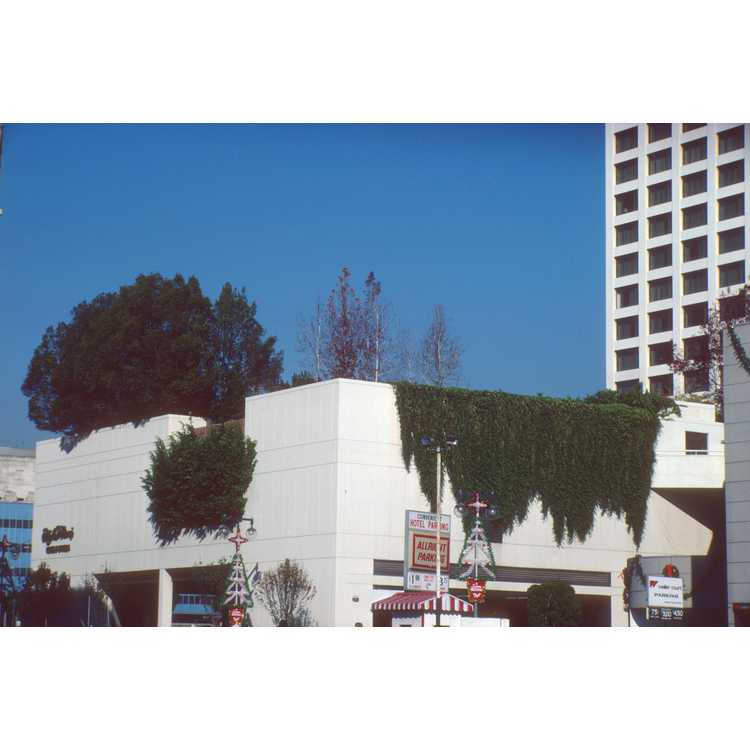 1987-01-15