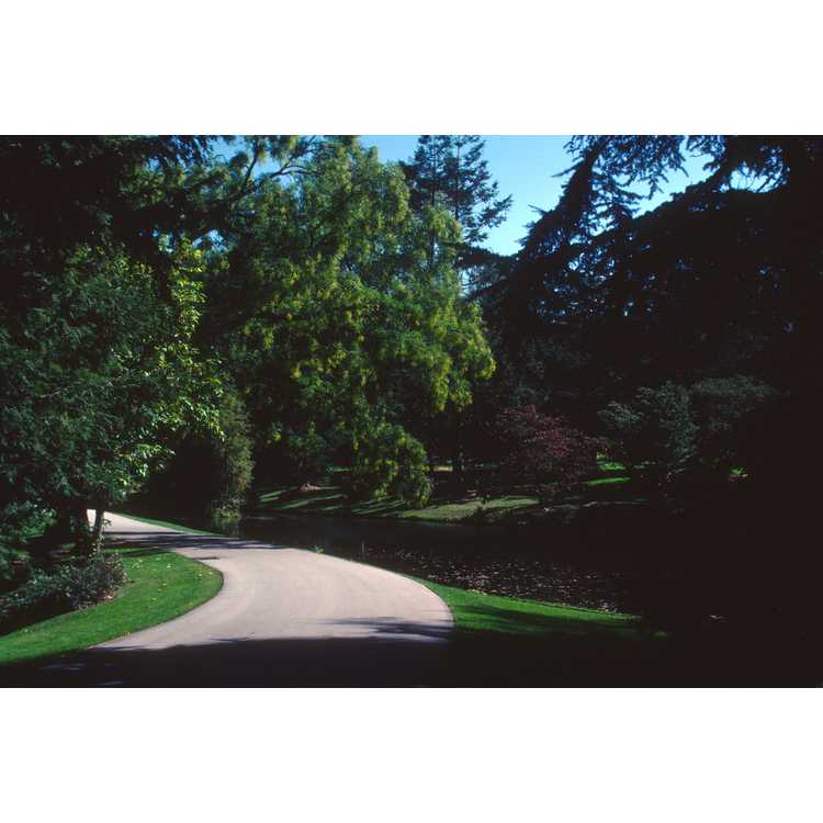 university of Washington arboretum