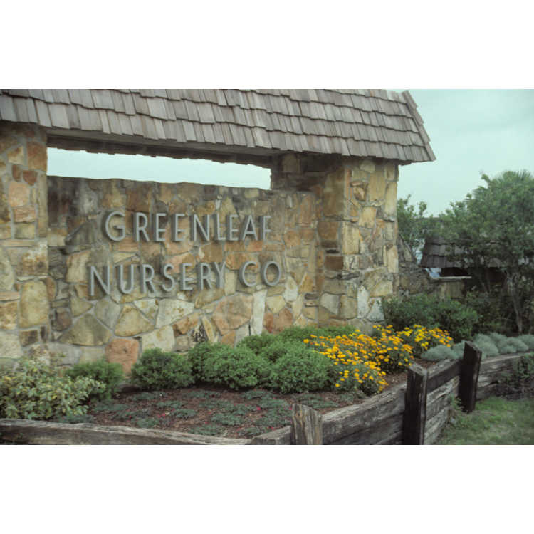 Greenleaf Nursery Co.