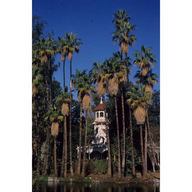 Los Angeles County Arboretum & Botanic Garden, The