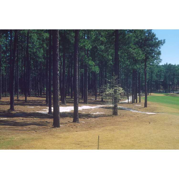 southern pines country club