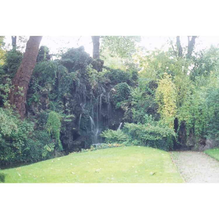 English style garden