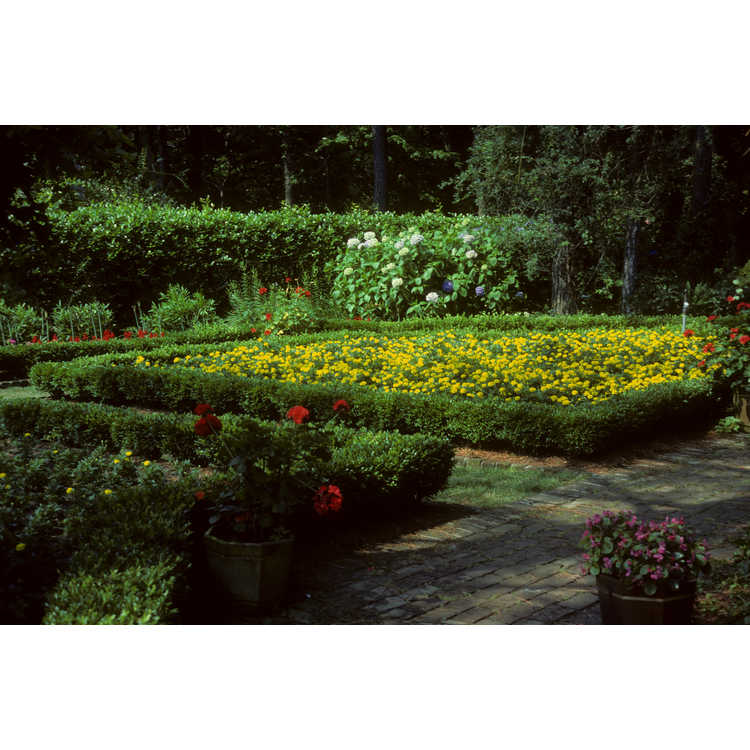 Elizabethan Gardens, The