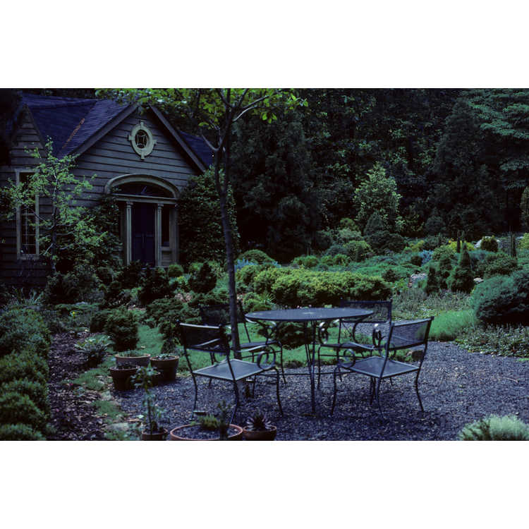 Tom Krenitsky's garden