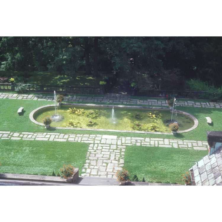 Stan Hywet Gardens