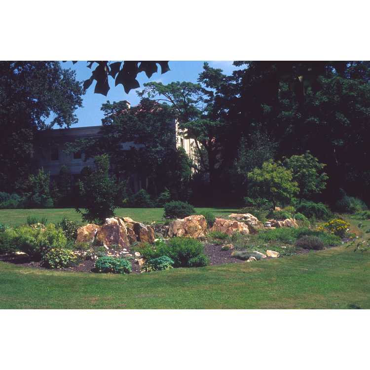 Arboretum of the Barnes Foundation, The