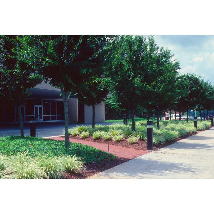 McKimmon Center for Extension and Continuing Education, North Carolina State University