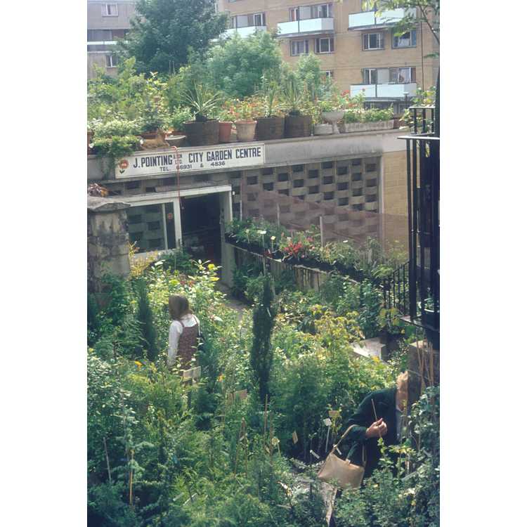 garden centre