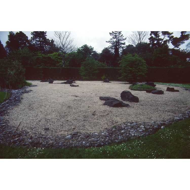 Tully Japanese Garden