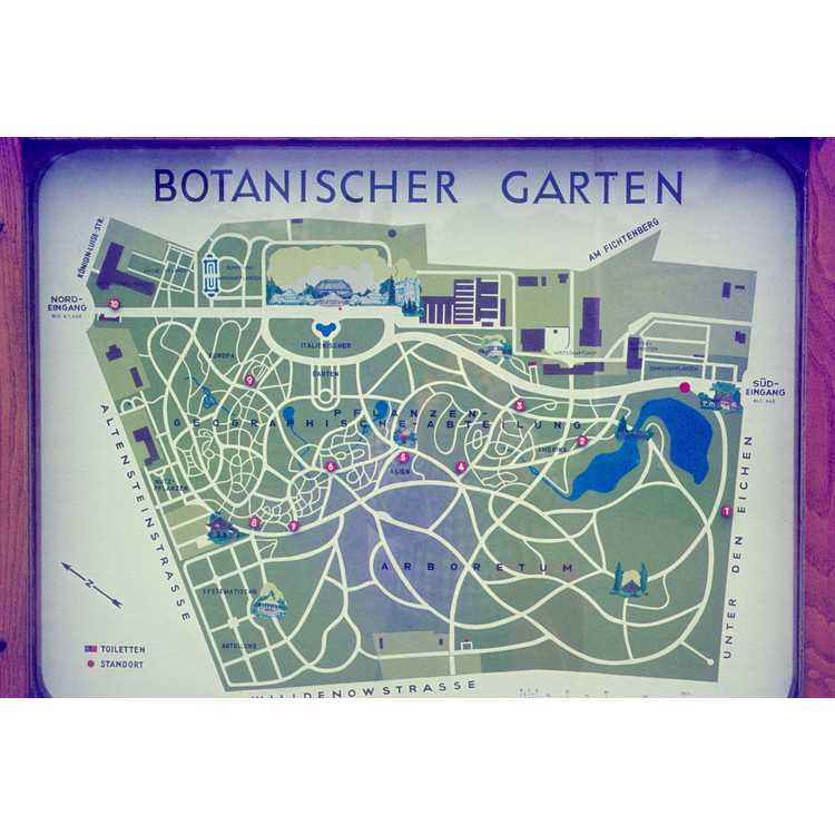 Botanic Garden and Botanical Museum Berlin-Dahlem