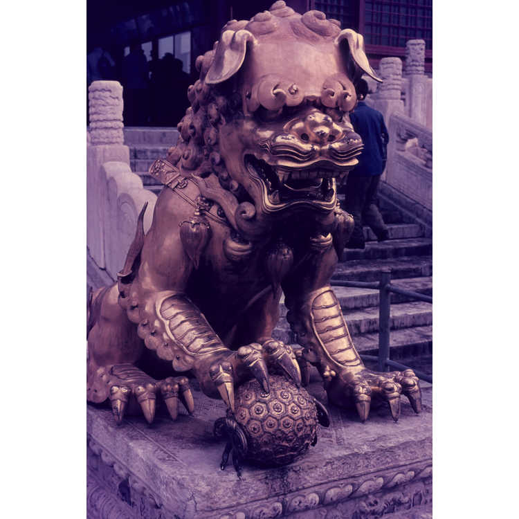 forbidden city imperial garden