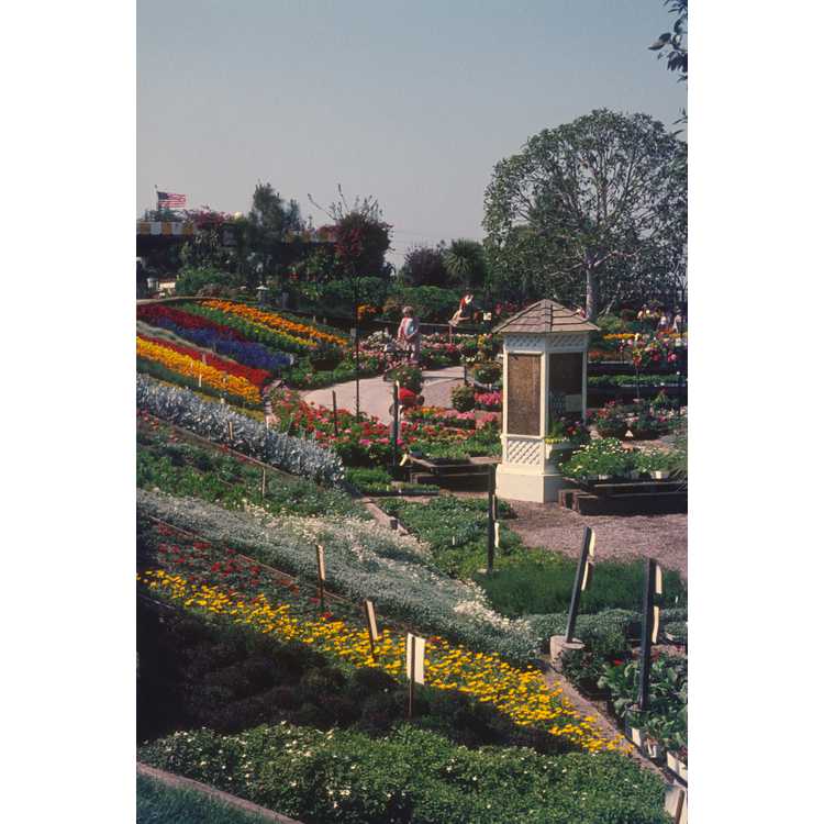 Roger's Gardens