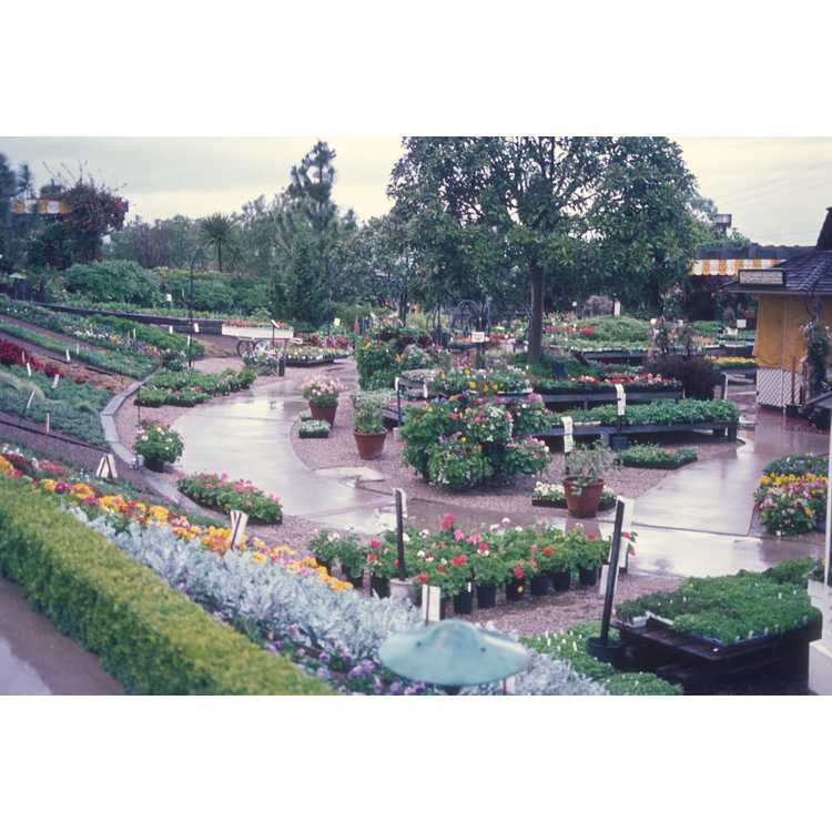 Roger's Gardens