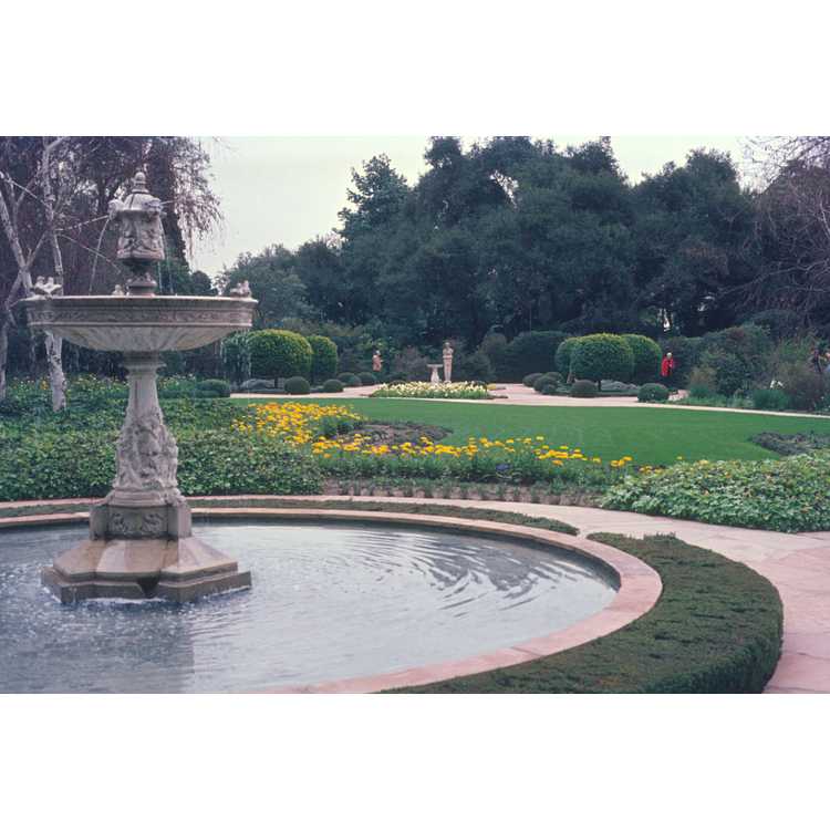 Huntington Botanical Gardens, The