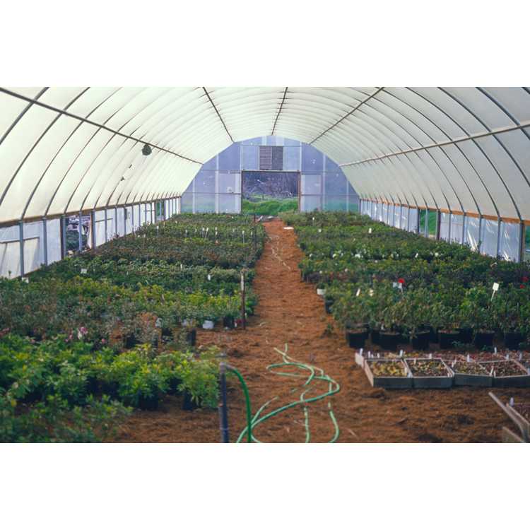 Sonoma Horticulture Nursery