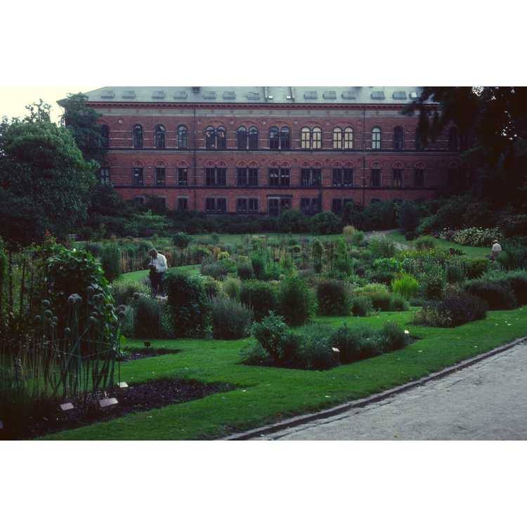 Botanical Garden and Museum (Botanisk Have and Museum), University of Copenhagen
