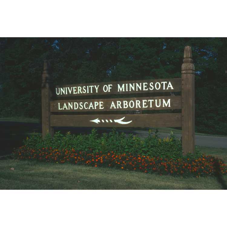 University of Minnesota Arboretum