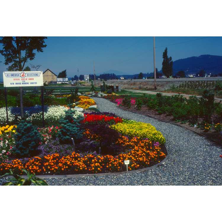Washington Nurseries; Skagit gardens