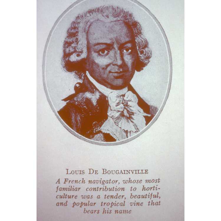 Louis de Bougainville