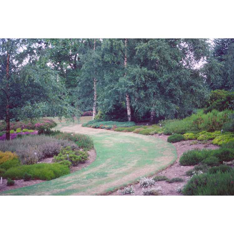 Leicester Botanical Garden
