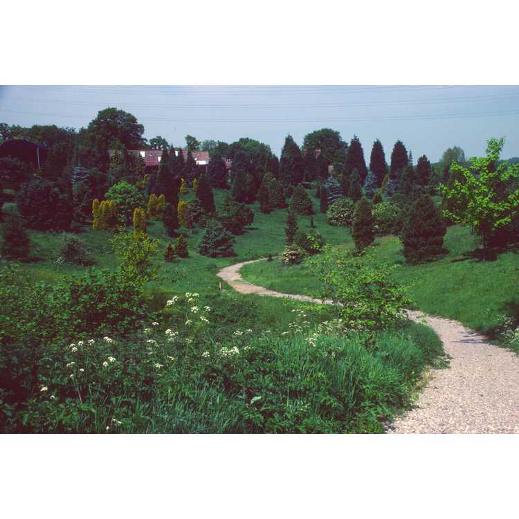 Hillier Arboretum