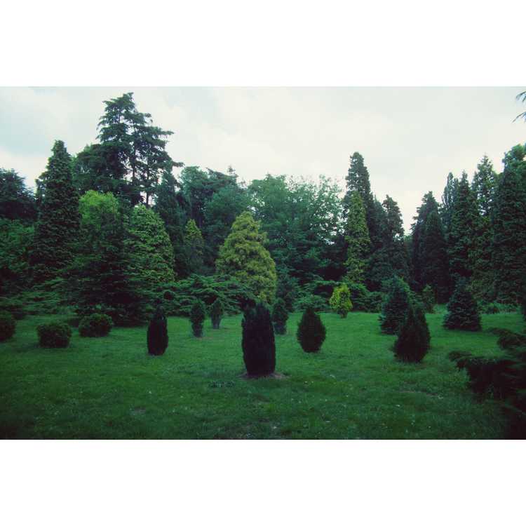 Von Gimborn Arboretum