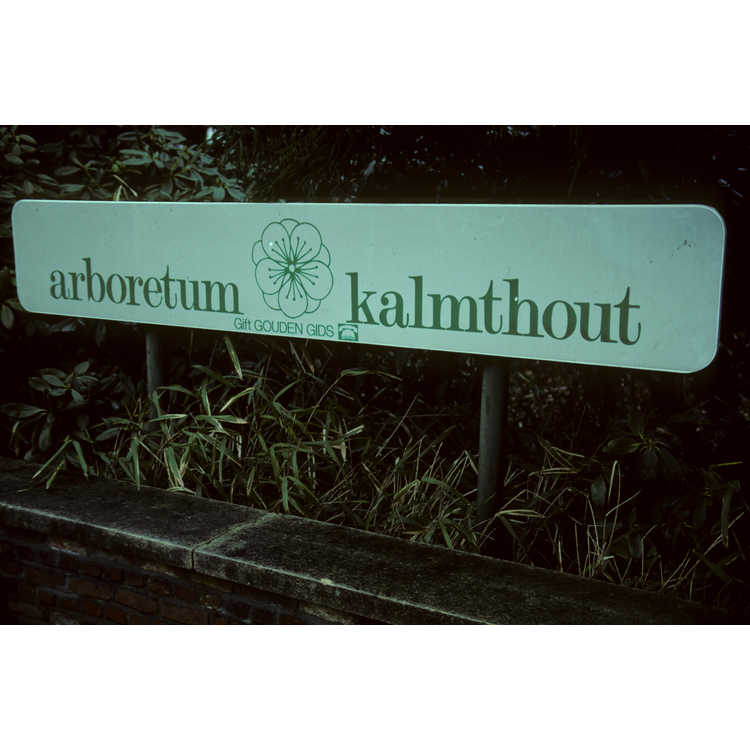 Kalmthout