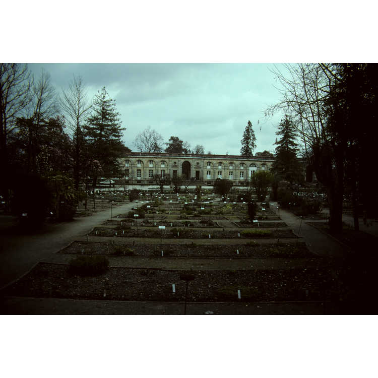 Bordeaux Botanical Garden