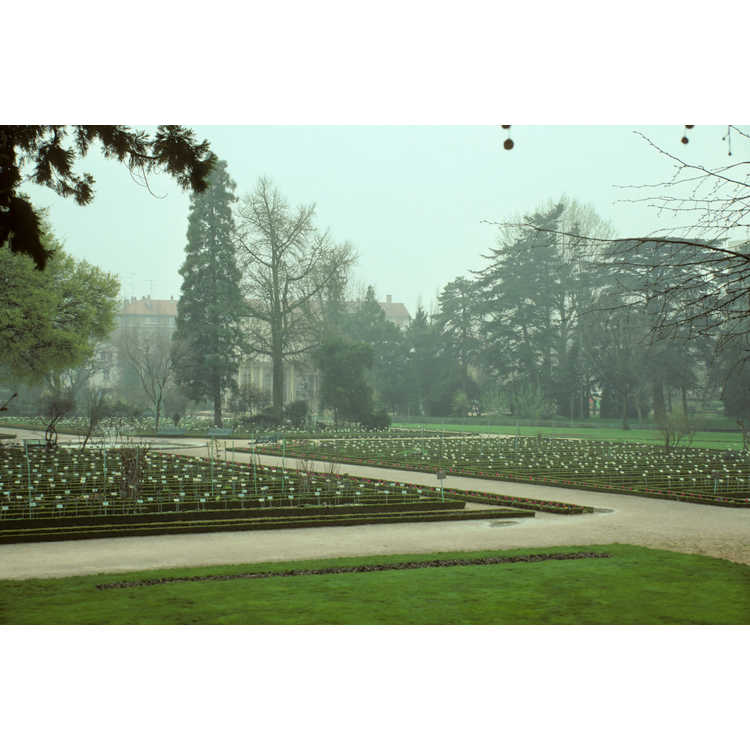 l'Arquebuse botanical garden